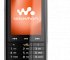      Sony Ericsson W960i