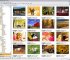 : StudioLine Photo Basic v.3.50.31