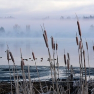 � ���������� ������� ������� ���� �� ������� � ���������� � �������