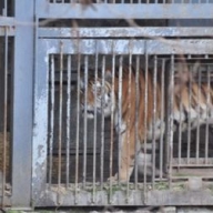 ������� ������� ����� ������ ��������� ������������� ��������