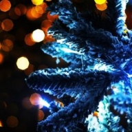 ������� ����� ����������� �����������: ��������, �������� � �����