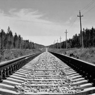 Затримано мешканців Нового Роздолу, котрі викрали рельси Затримано мешканців Нового Роздолу, котрі викрали рельси
