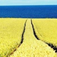 В Мариуполе считают, что борьба с безнаказанностью – задача №1 для прекращения конфликта В Мариуполе считают, что борьба с безнаказанностью – задача №1 для прекращения конфликта