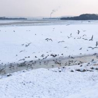 ���������� ������ 2017: �������, �������� � ������� ������ �� 19 ������