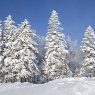 Синоптики обещают украинцам морозы до -24 Синоптики обещают украинцам морозы до -24