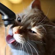 В Украине пересматривают тариф на воду: когда и насколько подорожает коммуналка В Украине пересматривают тариф на воду: когда и насколько подорожает коммуналка