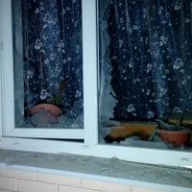 ������� ��������� �� ������� 40 ����� ��-21 