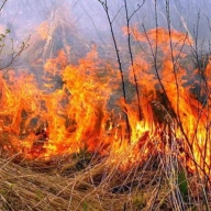 На Стрийщині пожежа з сухої трави ледь не перекинулась на будинки На Стрийщині пожежа з сухої трави ледь не перекинулась на будинки