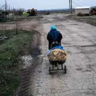 �� �������� ������������ �������� �������