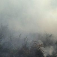 �� ������� �������� 