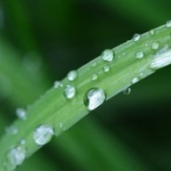 ������ � ������� ������ ��� ��������