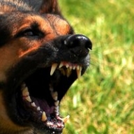 � ��������� ���� ���������� ���������� ������, ������� ����������� �� �������