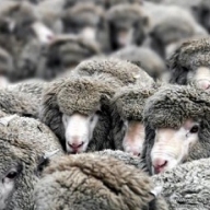 � �������� ������� ������ ����� �� 300 ����