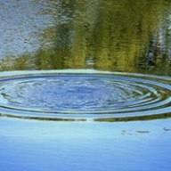 � ��������� �������� ����� ���� ���������� ��� ����� ��������