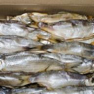 Вспышка ботулизма в Харькове: полиция ищет поставщика рыбы Вспышка ботулизма в Харькове: полиция ищет поставщика рыбы