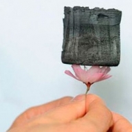 ������� �������� ����� ������ � ���� ��������