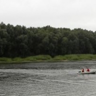      12-  