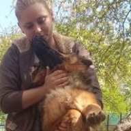 В Одессе задержали женщину, разместившую видео с подвешиванием собаки