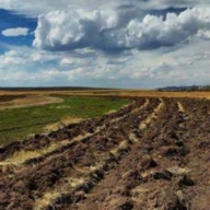 На Стрийщині планують провести аудит земель сільськогосподарського призначення На Стрийщині планують провести аудит земель сільськогосподарського призначення