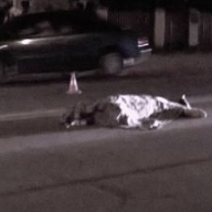 У Радехівському районі водій «ВАЗу» збив насмерть пішохода і покинув місце події У Радехівському районі водій «ВАЗу» збив насмерть пішохода і покинув місце події