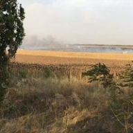 Пожар на складе боеприпасов под Мариуполем: появились новые подробности Пожар на складе боеприпасов под Мариуполем: появились новые подробности