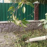 ������ ��� ��������: ������� 