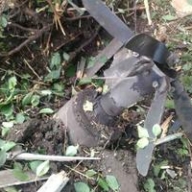 ������ � ��������� ��������� 2 000 �����