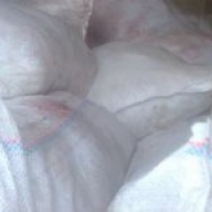 В Житомирской области уничтожили 2,5 тонны подозрительной говядины, которую везли на киевские рынки В Житомирской области уничтожили 2,5 тонны подозрительной говядины, которую везли на киевские рынки