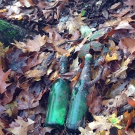 У Львові в лісі натрапили на пляшки з під шампанського з ртуттю(ФОТО) У Львові в лісі натрапили на пляшки з під шампанського з ртуттю(ФОТО)