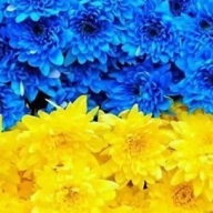 Стрийщина відзначить 99-у річницю проголошення ЗУНРу Стрийщина відзначить 99-у річницю проголошення ЗУНРу