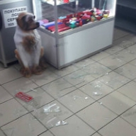 � ��������� ����� ���� ��� �� ��������� �������� ��������