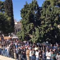 ������������� ����� ��������� ��������� � ��������� ����� ����������