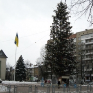 У Стрию новорічна ялинка засвітилась вогнями У Стрию новорічна ялинка засвітилась вогнями