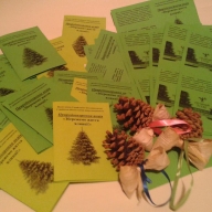 У Стрию відбудеться природоохоронна акція У Стрию відбудеться природоохоронна акція