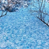 � ���������� ����� ����� ����