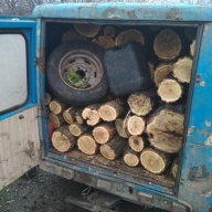 Справа Волноваських лісорубів - оперативники ДПСУ затримали, суд визнав винними Справа Волноваських лісорубів - оперативники ДПСУ затримали, суд визнав винними