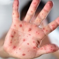 ���� �������: �� ���������� ����� ����������