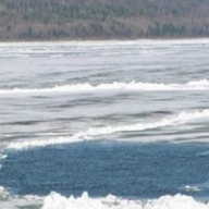 � ��������� �������� ����� ���� ������