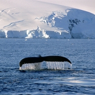 ������ ���������, ��� ��� � ���������� ���� ����� � 10 ��� �������