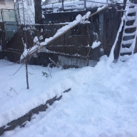 Поліцейські врятували життя бабусі з Борислава, на яку накинувся дворовий пес(ФОТО) Поліцейські врятували життя бабусі з Борислава, на яку накинувся дворовий пес(ФОТО)