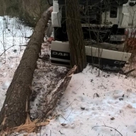 У Золочівському районі вантажівка в’їхала у дерево У Золочівському районі вантажівка в’їхала у дерево