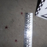 � �������� ������� ������ ������������ �� ������ ������ �������