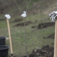 На Львівщині організовують загальнообласну толоку На Львівщині організовують загальнообласну толоку