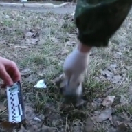 На Радехівщині під час гри загинув хлопчик На Радехівщині під час гри загинув хлопчик