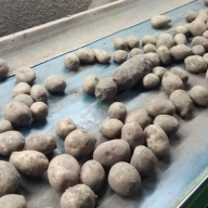 У Кам’янко-Бузькому районі під час сортування картоплі виявили застарілий боєприпас У Кам’янко-Бузькому районі під час сортування картоплі виявили застарілий боєприпас