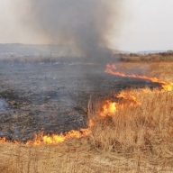 У Городоцькому районі сталося загоряння сухої трави У Городоцькому районі сталося загоряння сухої трави
