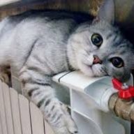 На Львівщині планують призупинити опалювальний сезон На Львівщині планують призупинити опалювальний сезон