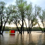 За травневі вихідні рівень води в Десні змінився За травневі вихідні рівень води в Десні змінився