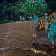 � ����� 40 ������� ������� ��� ������� �������