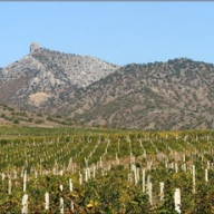 ������ ����������� ������� ������� ��������� ��-�� �������� � �����